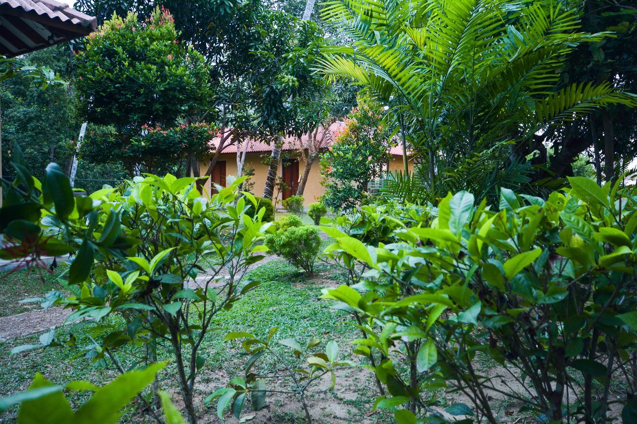 Kadolana Eco Village Балапития Экстерьер фото